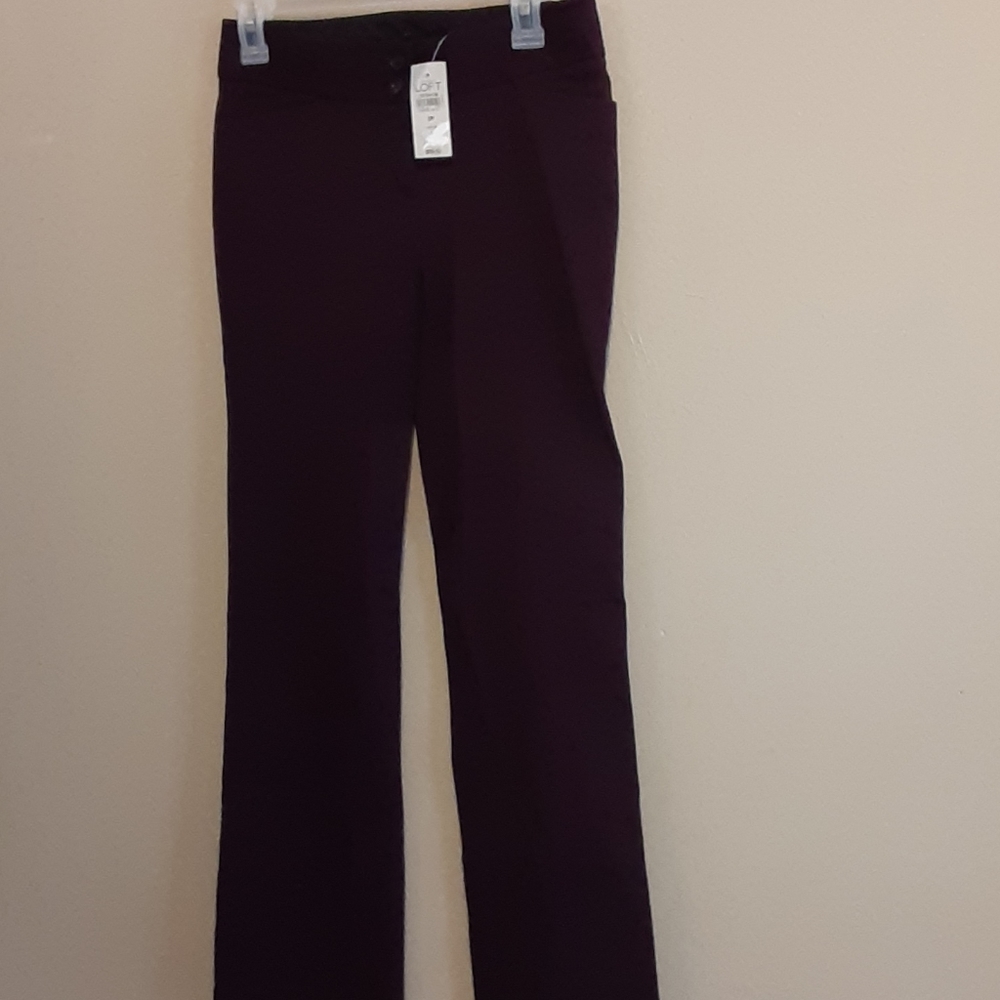 Ann Taylor pants